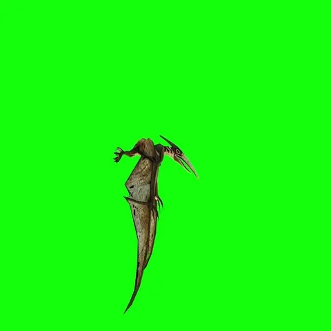 Pterodactyl fly 3d animation. dinosaur green screen 4k footage. Stock Footage