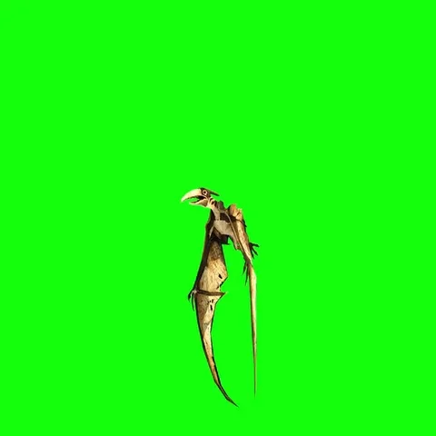 Pterodactyl fly 3d animation. dinosaur green screen 4k footage. Stock-Footage 69431773