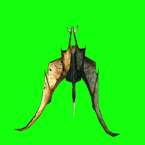 Pterodactyl fly 3d animation. dinosaur green screen 4k footage. Vidéo 69432137