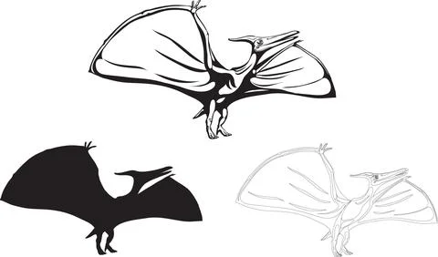 Pterodactyl Stock Illustration