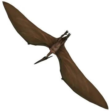 3d Model: Pterodactyl Pose 1 ~ Buy Now #89230071 