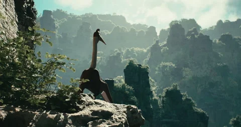 The pterodactyl prepares to hunt. Stock Footage 246692623