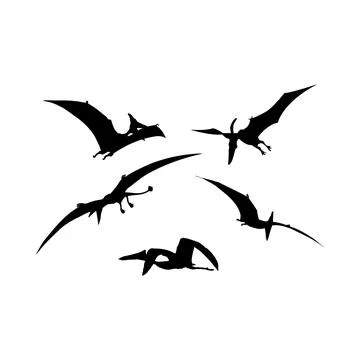 Pterodactyls black silhouettes Stock Illustration