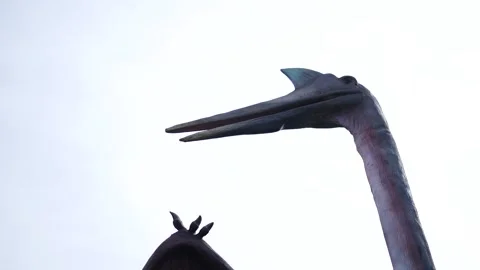 A Pterodacytl Roaring over Overcast Ancient Sky Stock Footage 333075538