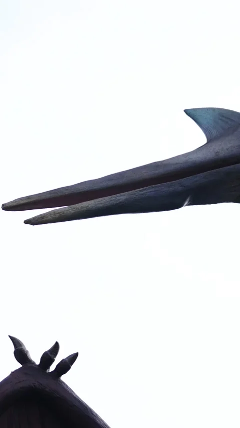 A Pterodacytl Roaring over Overcast Ancient Sky - Vertical Stock Footage 333121171