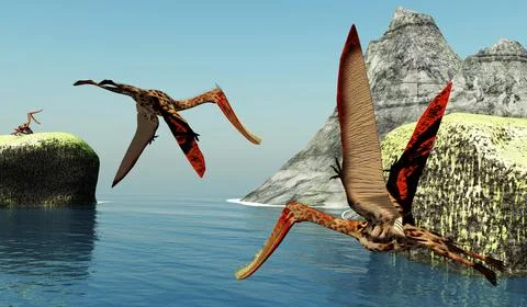 Pterodaustro Pterosaurs Seacoast Stock Illustration