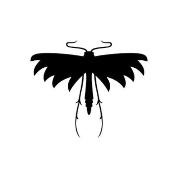 Pterophorus pentadactyla icon Stock Illustration