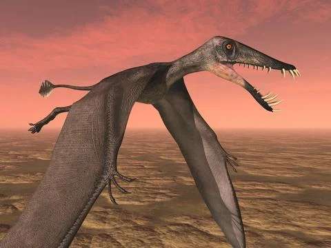 Pterosaur Dorygnathus flying over a landscape Stock Illustration