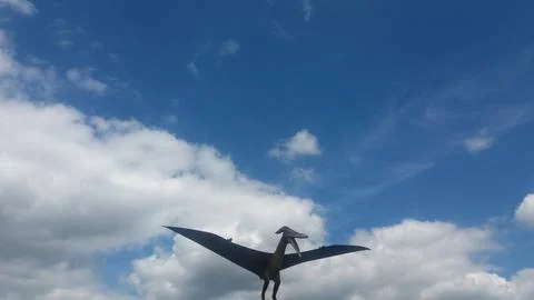 Pterosaur flying through the sky Stock Photos