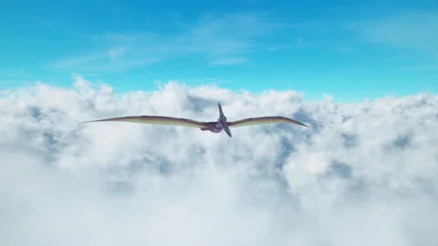 A Pterosaur soaring high above the cumulus clouds on a beautiful blue sky day. Stock Footage 258657258
