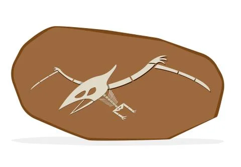 Pterosaurs bone in cray fossil, on white vector Stock Illustration