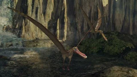 Pterosaurs Stock Illustration