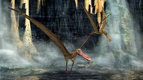Pterosaurs Stock Illustration