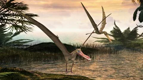 Pterosaurs Stock Illustration