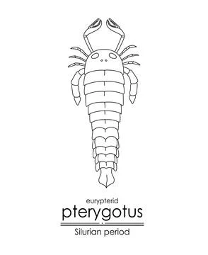 Pterygotus Stock Illustration