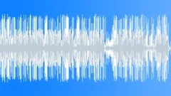 PticaStock Music