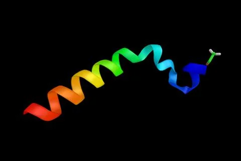PTMA, believed to be a major component of Thymosin Fraction 5 responsible f.. Stock Illustration