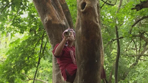 Pu Sae possessed medium drinking from tree then vacant stare Liang Dong Chiang Stock Footage 337168369