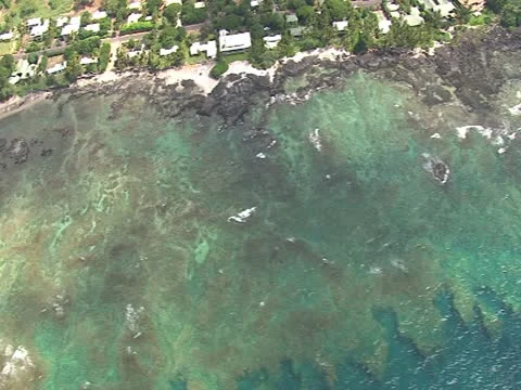 Puako Kohala Coast Stock-Footage 22244264