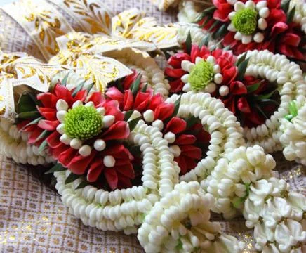 Puang malay Stock-Fotos