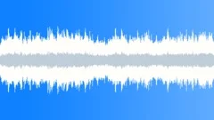 Pub ambience 01 loop Sound Effect