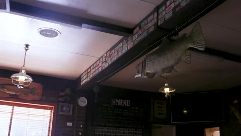 Pub Ceiling Fish Decoration And Banknote Covered Beam Stock Footage 340497753