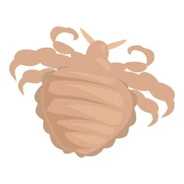 Pubic louse crawling showing its tiny claws Stock Illustration