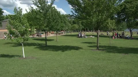 Public Beach Video stock 11115211