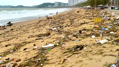 Public beach shows significant pollution Video stock 295987653