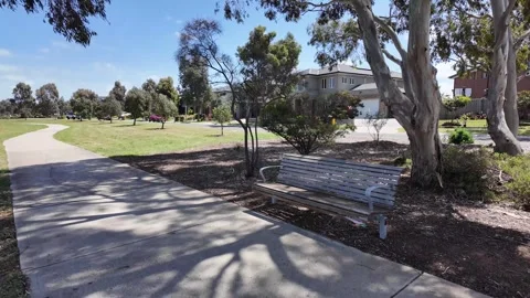 Public bench under the shade of a large eucalyptus gum tree in a suburban park Stock Footage 290822445