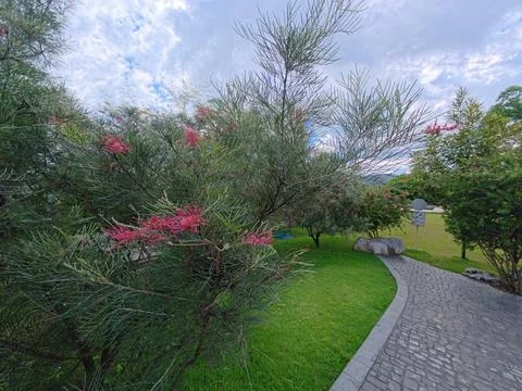 Public boardwalk surrounded by trees Stock-Fotos