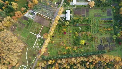 Public botanic garden next in Yoshkar-Ola at autumn day. Aerial video Stock Footage 89871253