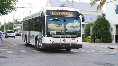 Public bus in key west florida streets - august - 2019 Stock Footage 116892164