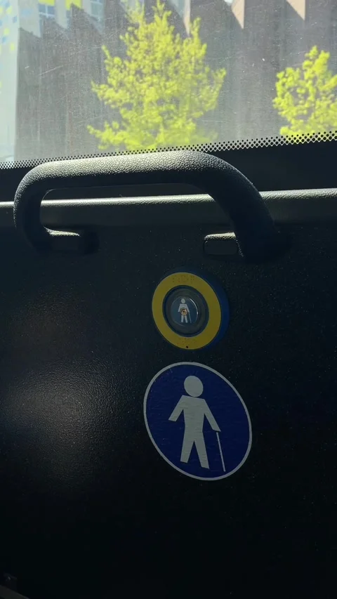 Public bus seatback with accessibility stickers by a sunlit window Stock Footage 341671821