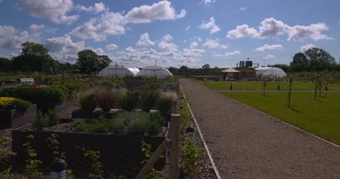 Public community garden plot allotment greenhouse polytunnel summer sun Stock Footage 109312905