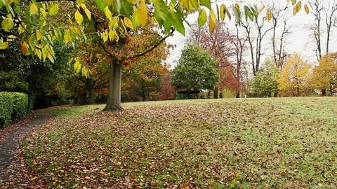 Public Garden 2 Stock Footage 74150488