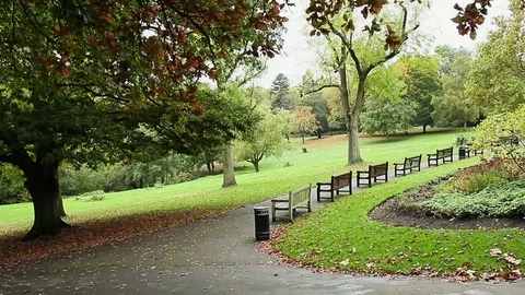 Public Garden Stock Footage 74150409