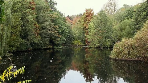 Public Garden Pond Stock Footage 74150589