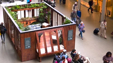 Public Installation of The Composer’s Cabin at St Pancras Stock Footage 337583090