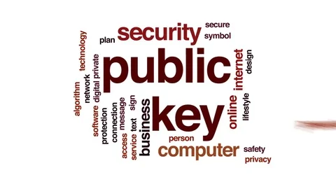 Public key animated word cloud, text design animation. Stock Footage