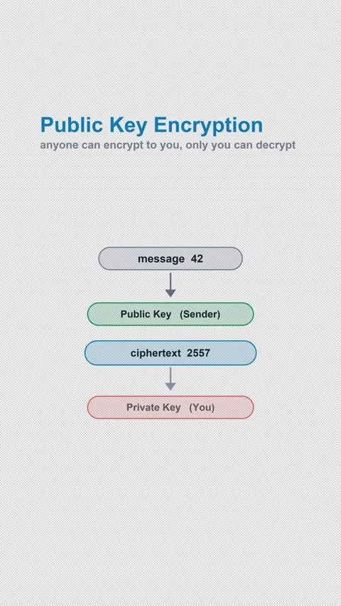 Public Key Encryption Labeled Cryptography Diagram Alpha 4K Vertical 9x16 Light Видео 339645489