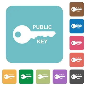Public key rounded square flat icons Stock Illustration