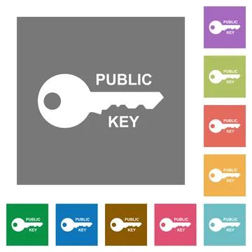 Public key square flat icons Stock Illustration