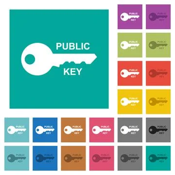 Public key square flat multi colored icons Stock Illustration