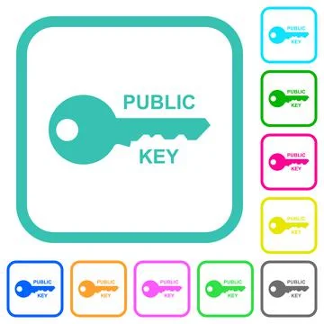 Public key vivid colored flat icons Stock Illustration