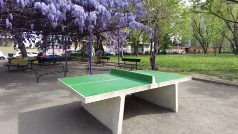 Public outdoor ping pong table in a city garden surrounded by spring blossoms Stock Footage 332514129