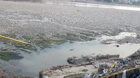 Public park after flood Stock Footage 322928589