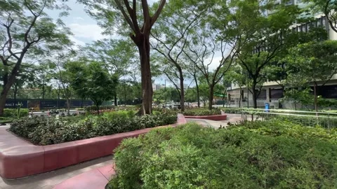 Public Park and Greenery in BGC 4k 60fps Vídeo Stock 339200618