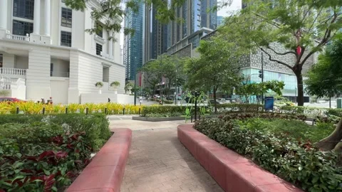 Public Park and Greenery in BGC 4k 60fps Vídeos de archivo 339200771