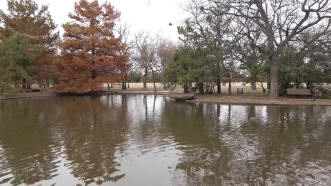 Public park at autumn. Stock Footage 99409428